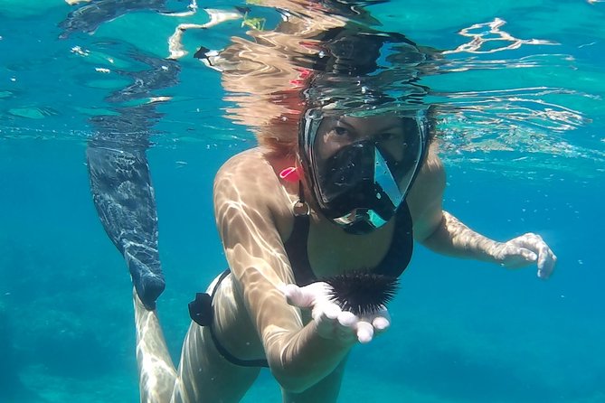 Chania: Boat Trip with Guided Snorkeling Tour & SUP - The sea you’re chasing: reefs, caves, and realistic expectations