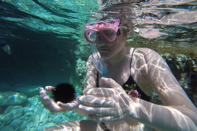 Chania: Boat Trip with Guided Snorkeling Tour & SUP - Onboard comfort: fruit, water, and why photos matter