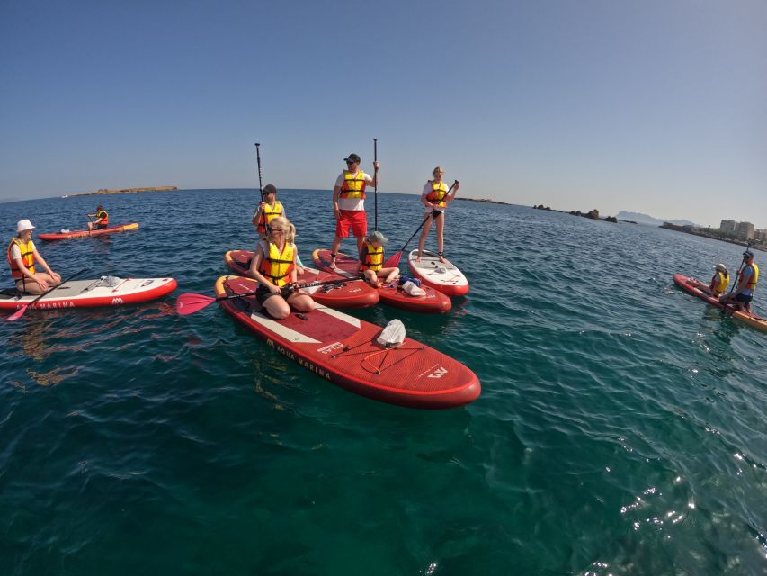 Chania: Stand-up Paddleboard Tour to Lazareta Island - Sea turtles odds, wildlife time, and how to maximize your chances