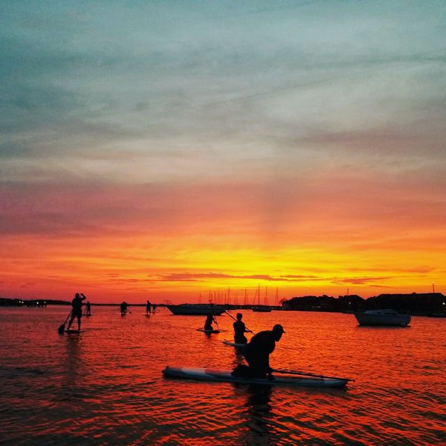 Charleston: Folly Beach Stand Up Paddleboard Dolphin Safari - Why Folly River SUP turns dolphin-spotting into something you can actually do