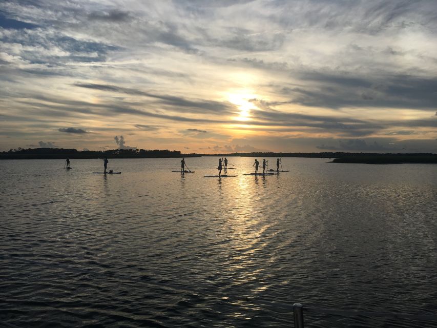 Charleston: Folly Beach Stand Up Paddleboard Dolphin Safari - Who this experience is best for, and who should skip it
