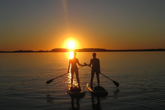 Charleston Stand-Up Paddleboard Eco Tour - The quick ground school that keeps first-timers from panicking