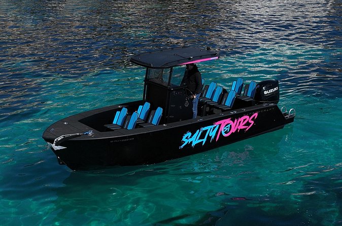 Charter Tour of Palma Bay: Snorkeling and Paddle Surfing - Price and value: about $78 for a 2.5-hour water day