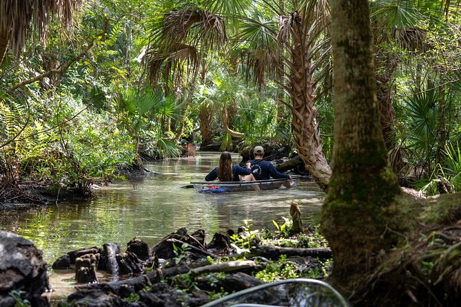 Chassahowitzka River Clear Kayak Springs & Manatee Tours - Quick hits you’ll care about before booking