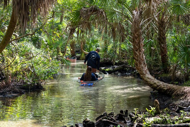 Chassahowitzka River Clear Kayak Springs & Manatee Tours - Crystal River’s clear-kayak “see-through” magic
