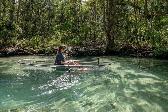 Chassahowitzka River Clear Kayak Springs & Manatee Tours - From Seven Sisters Campground to Seven Sisters Springs