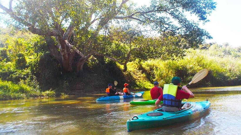 Chiang Mai: 15 km Leisure River Kayaking at Mae Ngat forest - Who this kayaking day fits best (and who might rethink it)
