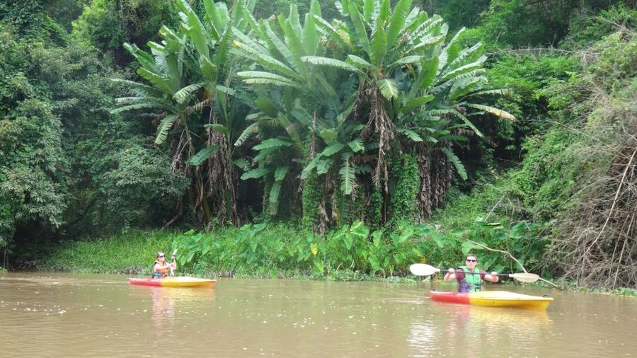 Chiang Mai: 15 km Leisure River Kayaking at Mae Ngat forest - Kayak practice + safety briefing: how they set you up