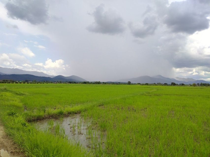 Chiang Mai: 25km Leisure Mountain Biking & Jungle Kayaking - Should you book? My practical take