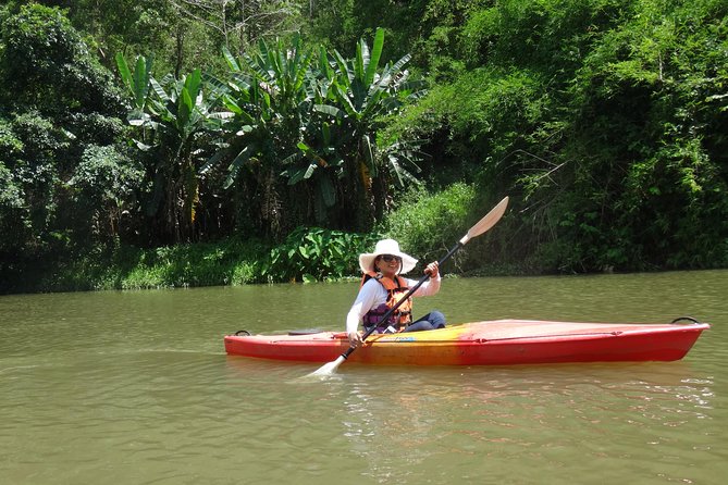 Chiang Mai Biking & River Kayak : Gentle Thrills in a Lush Valley - Key Things I’d Focus On