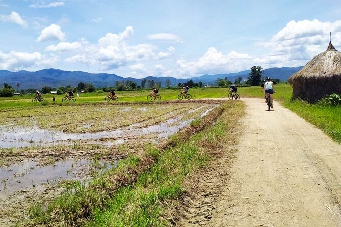 Chiang Mai Biking & River Kayak : Gentle Thrills in a Lush Valley - Lunch at Mango Plantation Restaurant: where the day refuels
