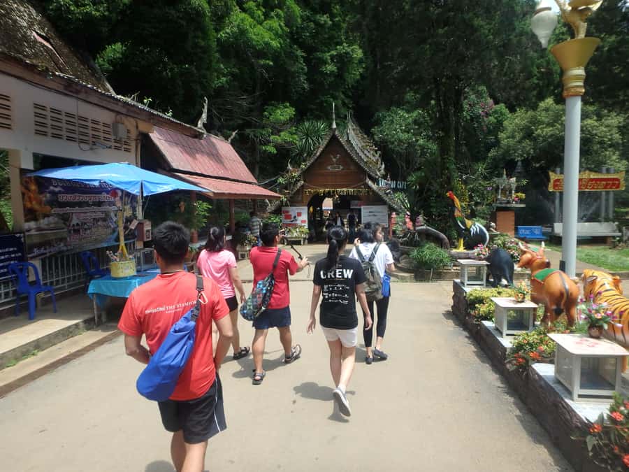 Chiang Mai: Full-Day Chiang Dao Caving & Jungle Kayaking - Kayak briefing and the jungle run on the Mae Ping River