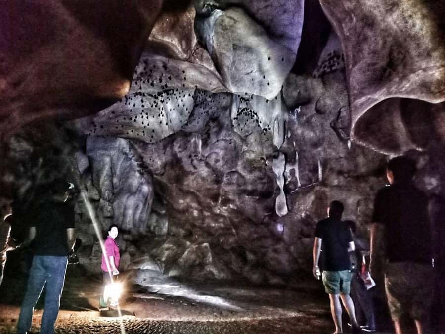 Chiang Mai: Full-Day Chiang Dao Caving & Jungle Kayaking - Lunch by the cave and/or river: fuel without stress