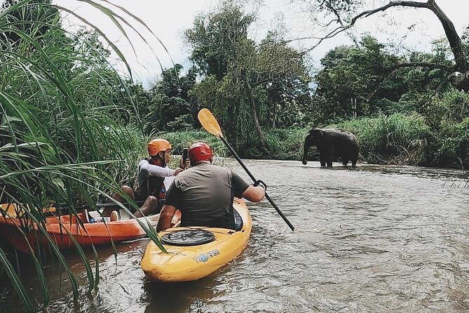 Chiang Mai: Jungle Kayak Adventure with Rapids & Elephants - Key things that make this trip worth your morning