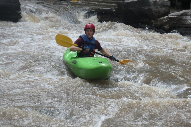 Chiang Mai: Jungle Kayak Adventure with Rapids & Elephants - Upper Mae Wang (Class I–II): wildlife, elephants, and learning the river rhythm