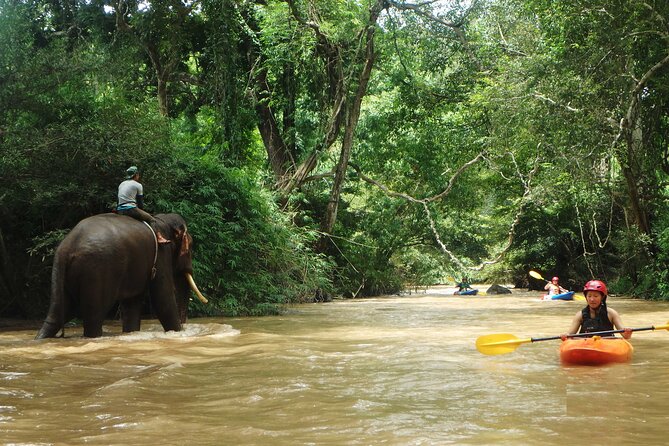 Chiang Mai: Jungle Kayak Adventure with Rapids & Elephants - Lost Canyon (Class III–IV): the advanced option that makes the day feel complete