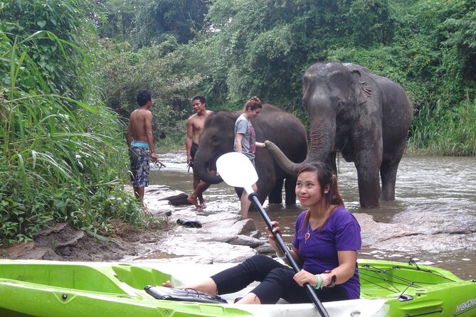 Chiang Mai: Jungle Kayak Adventure with Rapids & Elephants - Safety that lowers the stress level: first aid, gear fit, and a following support truck