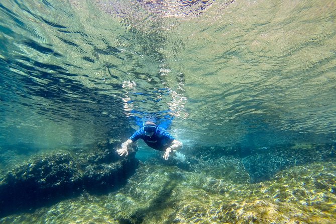 Cinque Terre Half Day Kayak Trip from Monterosso - What You’ll Do, Hour by Hour (Without the Confusion)