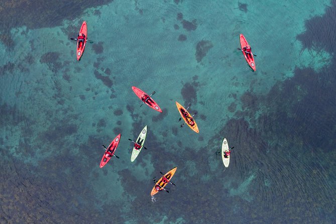 Classic Kayaking Adventure by Mt. Kirkjufell - Price and value: why $120 feels fair here