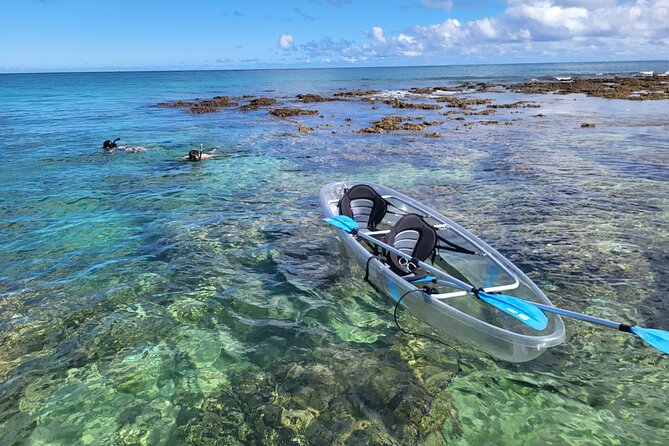 Clear Bottom Kayak - Guaranteed to see Turtles! - Key points before you book