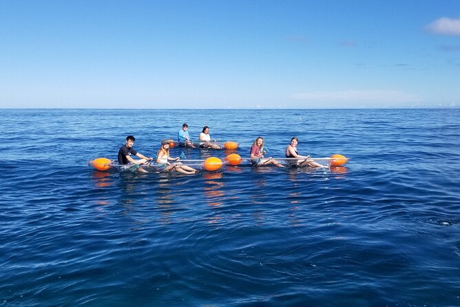 Clear Bottom Kayak - Guaranteed to see Turtles! - Meeting in Haleiwa: quick check-in, fast water time