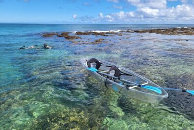 Clear Bottom Kayak - Guaranteed to see Turtles! - The clear-bottom kayak magic: reef life and turtles under you