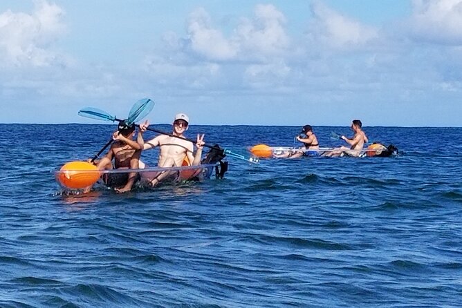 Clear Bottom Kayak - Guaranteed to see Turtles! - When the water cooperates: North Shore paddling, river time, and wildlife variety