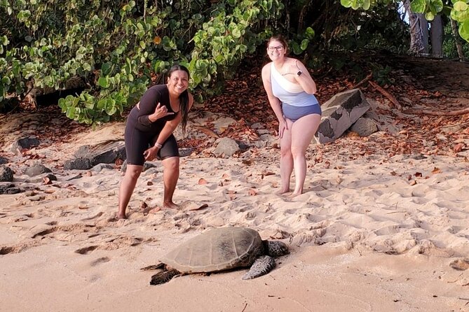 Clear Bottom Kayak - Guaranteed to see Turtles! - Value check: $172.77 for 2 hours on Oahu’s North Shore