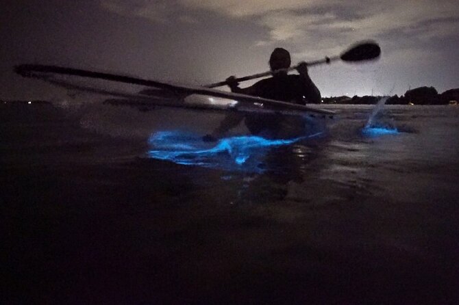 Clear Kayak Bioluminescence Tour - Key Things I’d Pick Up Before You Go