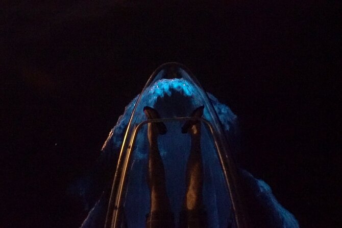 Clear Kayak Bioluminescence Tour - Glowing Water and a Night Paddle Starting at Haulover Canal