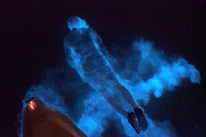 Clear Kayak Bioluminescence Tour - Beginner-Friendly Kayaking, With One Important Reality Check