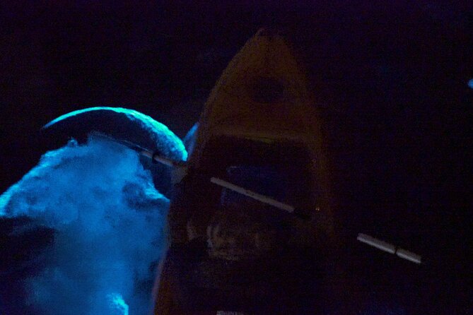 Clear Kayak Bioluminescence Tour - What to Bring for Night Bugs, Wet Gear, and Photo Time