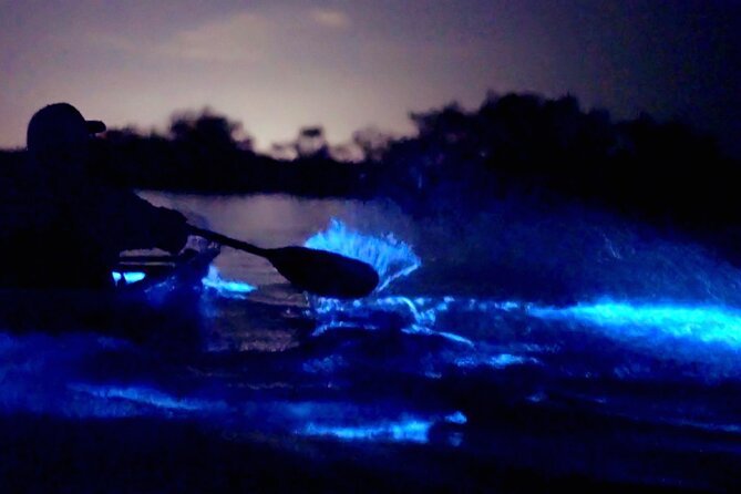 Clear Kayak Bioluminescence Tour - Cocoa Beach - How the tour keeps it safe and personal with a max of 20