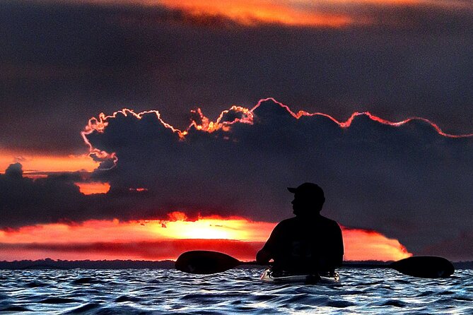 Clear Kayak Bioluminescence Tour - Cocoa Beach - When the glow is low: how to get the best odds