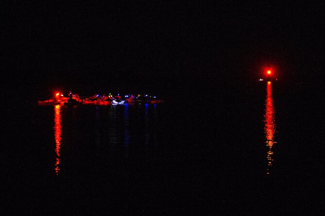 Clear Kayak Bioluminescence Tour - Cocoa Beach - Florida bioluminescence isn’t one thing: comb jellies vs neon plankton