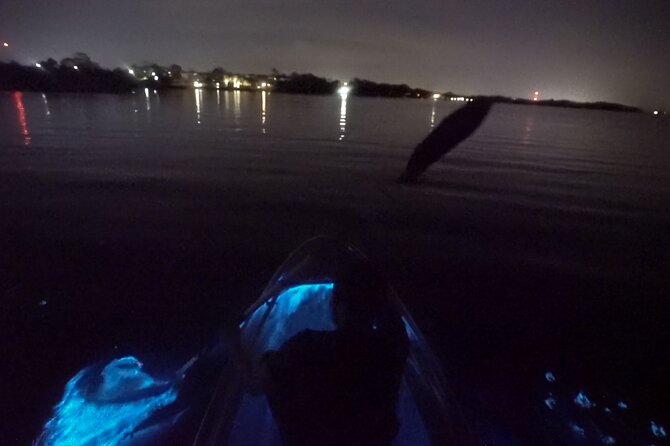 Clear Kayak Bioluminescence Tour - What the 2-Hour Bioluminescence Experience Feels Like On the Water
