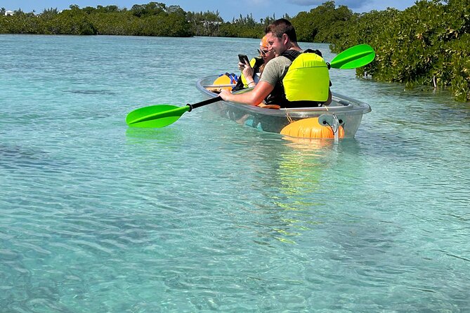 Clear Kayak Eco Tour Explore Mangroves and Meet the Turtles - Safety and life jackets: what to check before you push off