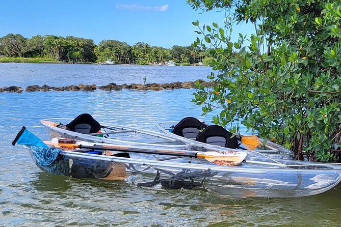Clear Kayak Eco Tour in Jupiter, Florida - Price and Value: Is $75 Worth It?