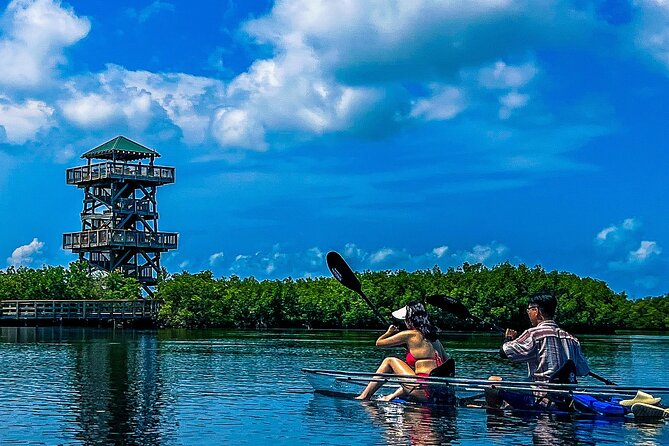 Clear Kayak Ecotour at Robinson Preserve in Bradenton, Florida - Where You Go: Robinson Preserve by Bradenton and Tampa Bay