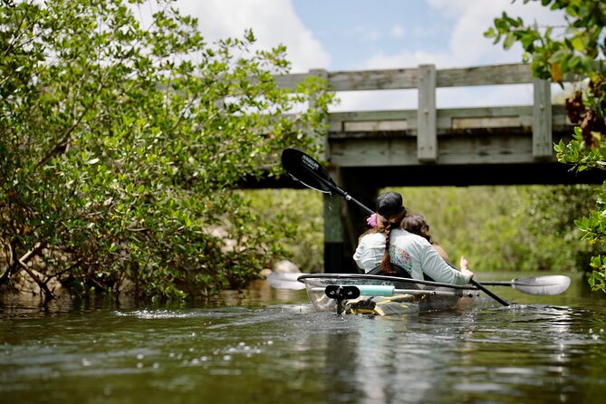 Clear Kayak Ecotour at Robinson Preserve in Bradenton, Florida - Birds: Don’t Only Look Down