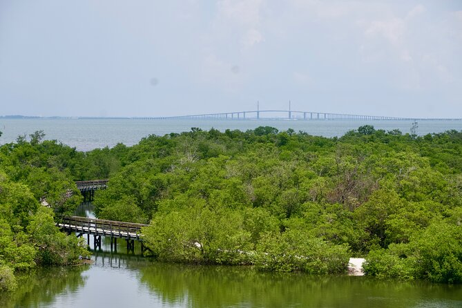 Clear Kayak Ecotour at Robinson Preserve in Bradenton, Florida - Wildlife Without the Guarantee: How to Enjoy It Anyway