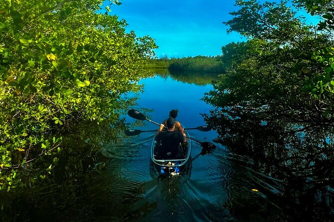 Clear Kayak Ecotour at Robinson Preserve in Bradenton, Florida - Big Views and Photo Stops: Observation Towers Over Tampa Bay