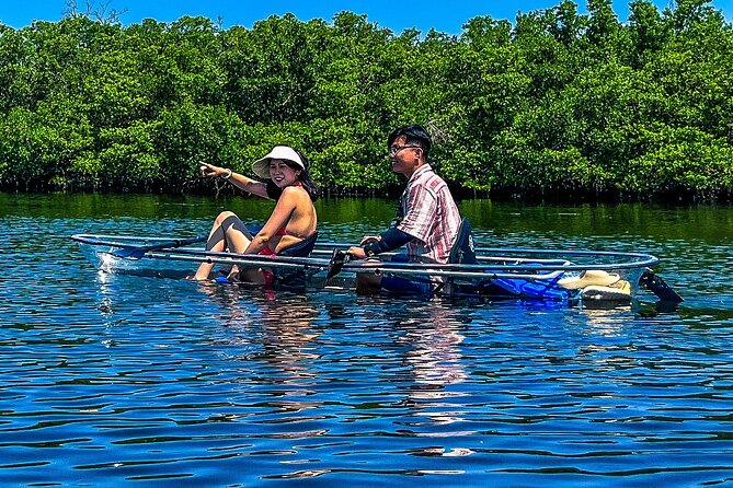 Clear Kayak Ecotour at Robinson Preserve in Bradenton, Florida - The “Clear Kayak” Expectation: When It Looks Amazing (and When It Doesn’t)