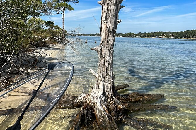 Clear Kayak Ecotour Destin Ft. Walton Beach - Santa Rosa Sound, in plain English: what you’re paddling through