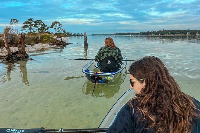 Clear Kayak Ecotour Destin Ft. Walton Beach - Wildlife spotting and local stories: what the guides actually do