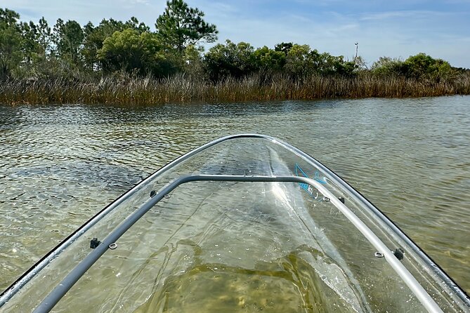 Clear Kayak Ecotour Destin Ft. Walton Beach - Price and value: what you get for $69