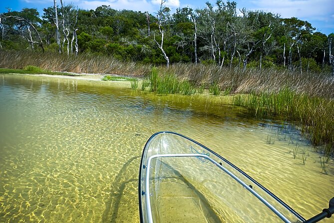 Clear Kayak Ecotour Destin Ft. Walton Beach - Wind, tides, and boat traffic: how to judge whether it fits your day