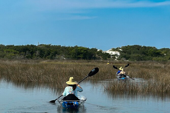 Clear Kayak Ecotour Destin Ft. Walton Beach - The paddle experience: effort level and pacing for real humans