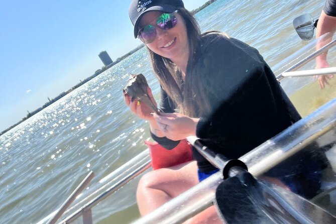 Clear Kayak Glass Bottom Day Tour - Anna Maria Island - Tandem vs. solo kayaks and the weight limits you should know