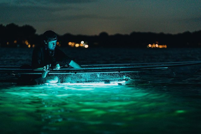 Clear Kayak Glow in the Dark Tour Through Winter Park - Clear kayak glow and glass-bottom viewing: what you’ll actually see at night
